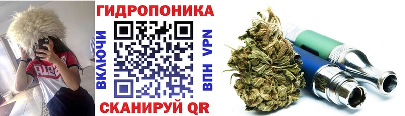 Конопля OG Kush  сколько стоит  Великий Устюг 